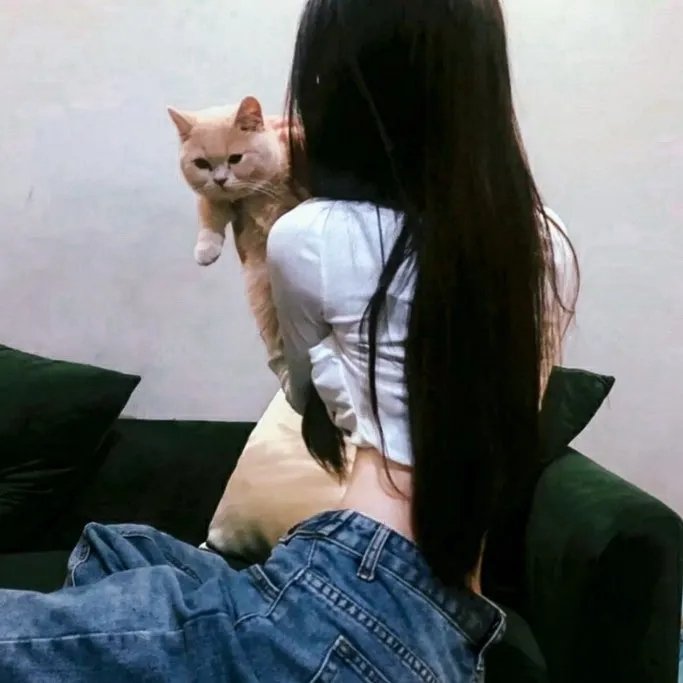 猫咪后院之家